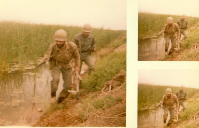 دكتر سيد عليرضا سيدين